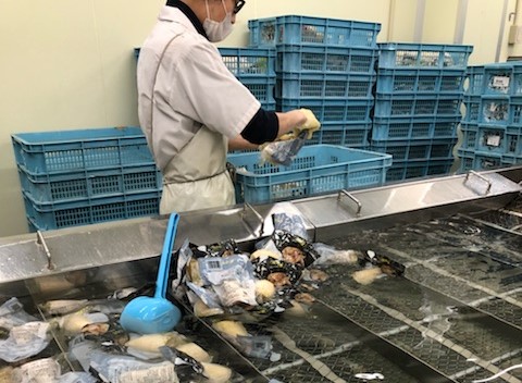 検品